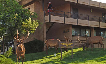 Thunderbird Lodge Grand Canyon Екстер'єр фото